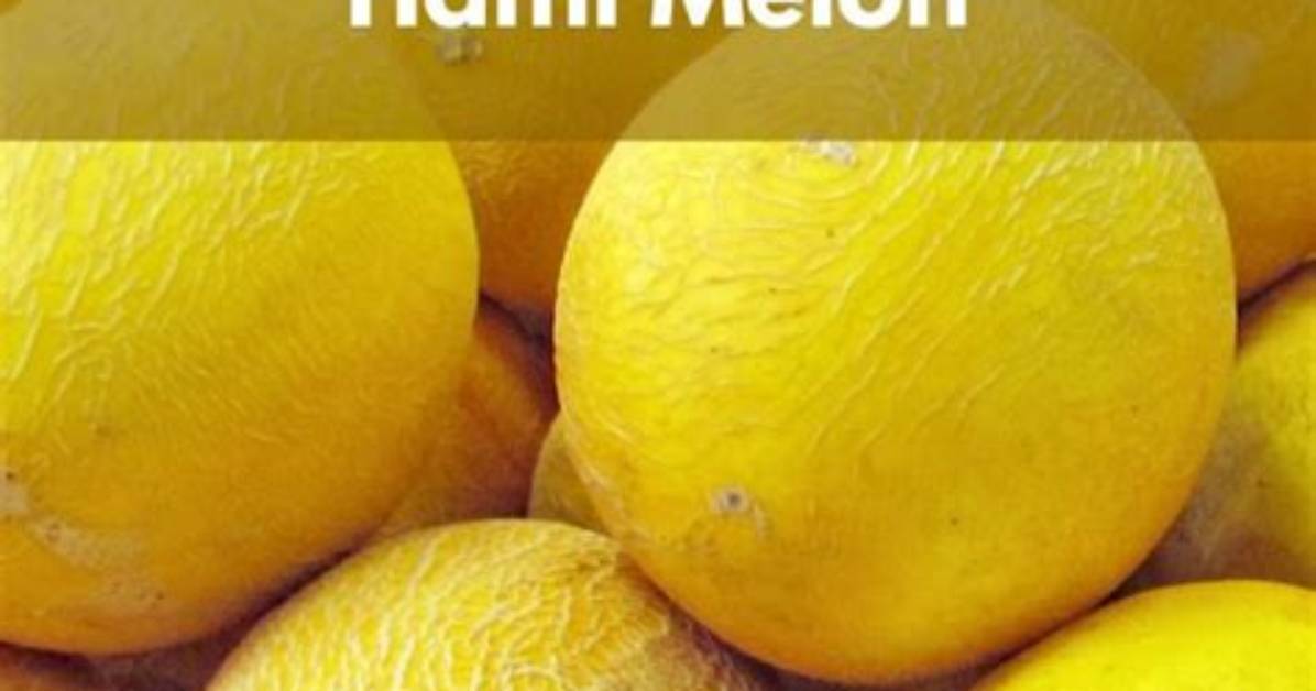 How Do You Pick a Hami Melon?