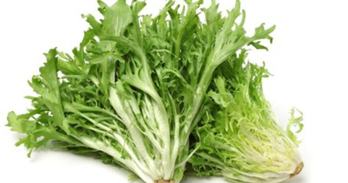 How Do You Pick Escarole