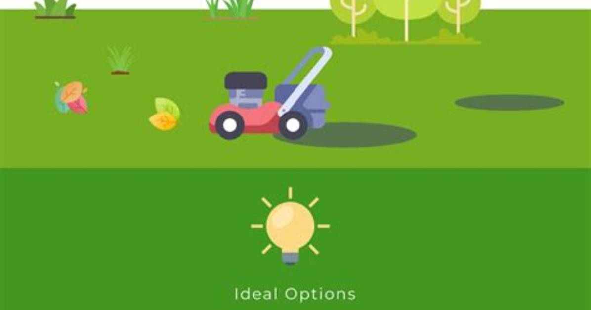 How Do You Pick up Leaves Without a Rake