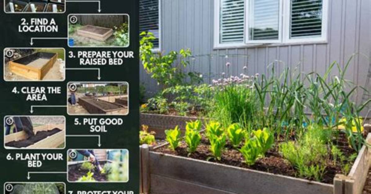 How Do You Plan a Raised Vegetable Garden