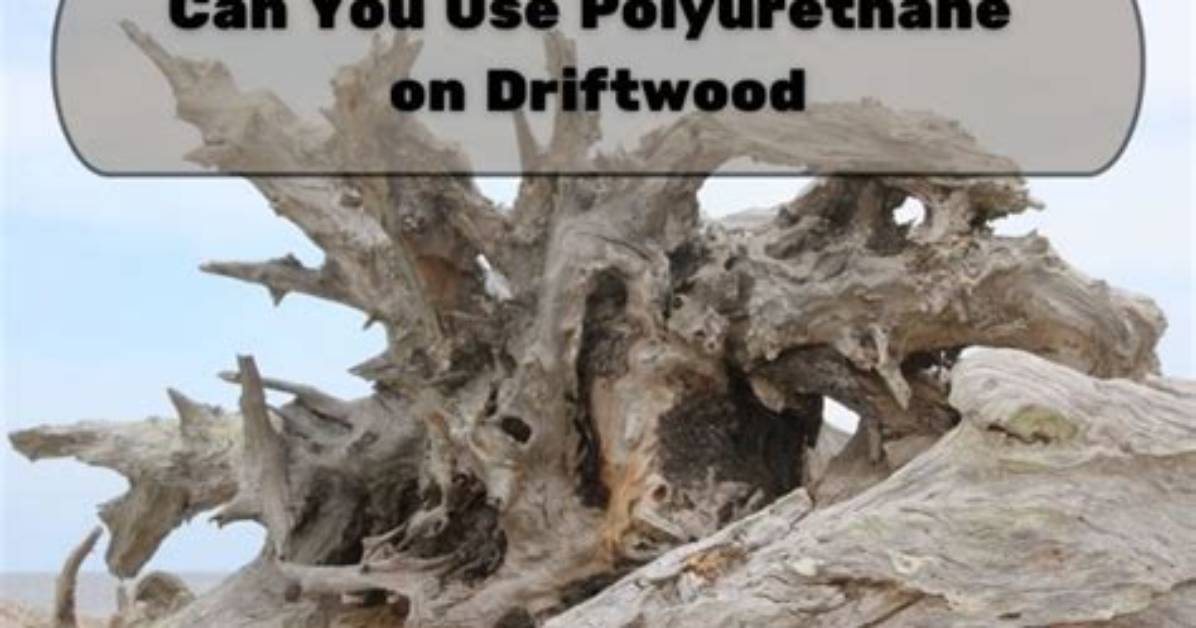 How Do You Polyurethane Driftwood