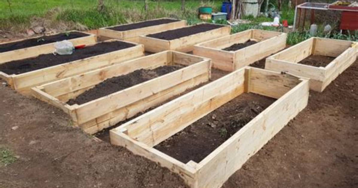 How Do You Prepare a Garden Bed for Flowers?