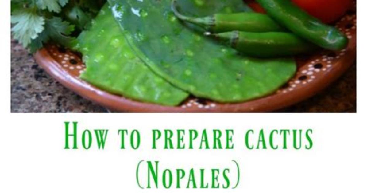 How Do You Prepare Cactus