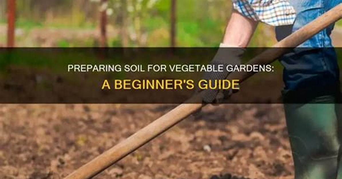How Do You Prepare Soil for Vegetables?