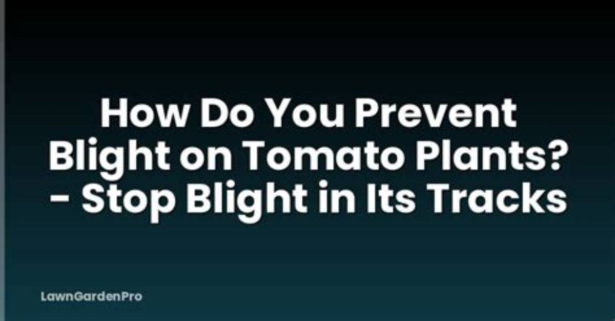 How Do You Prevent Blight in the Garden