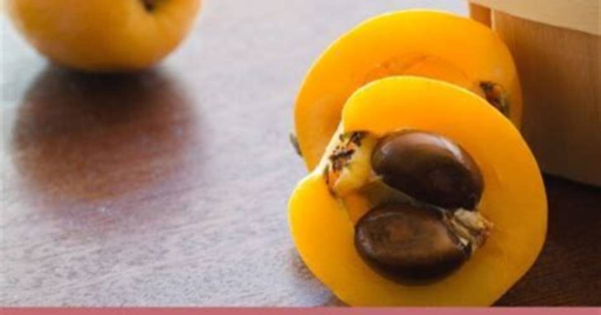 How Do You Process Loquats