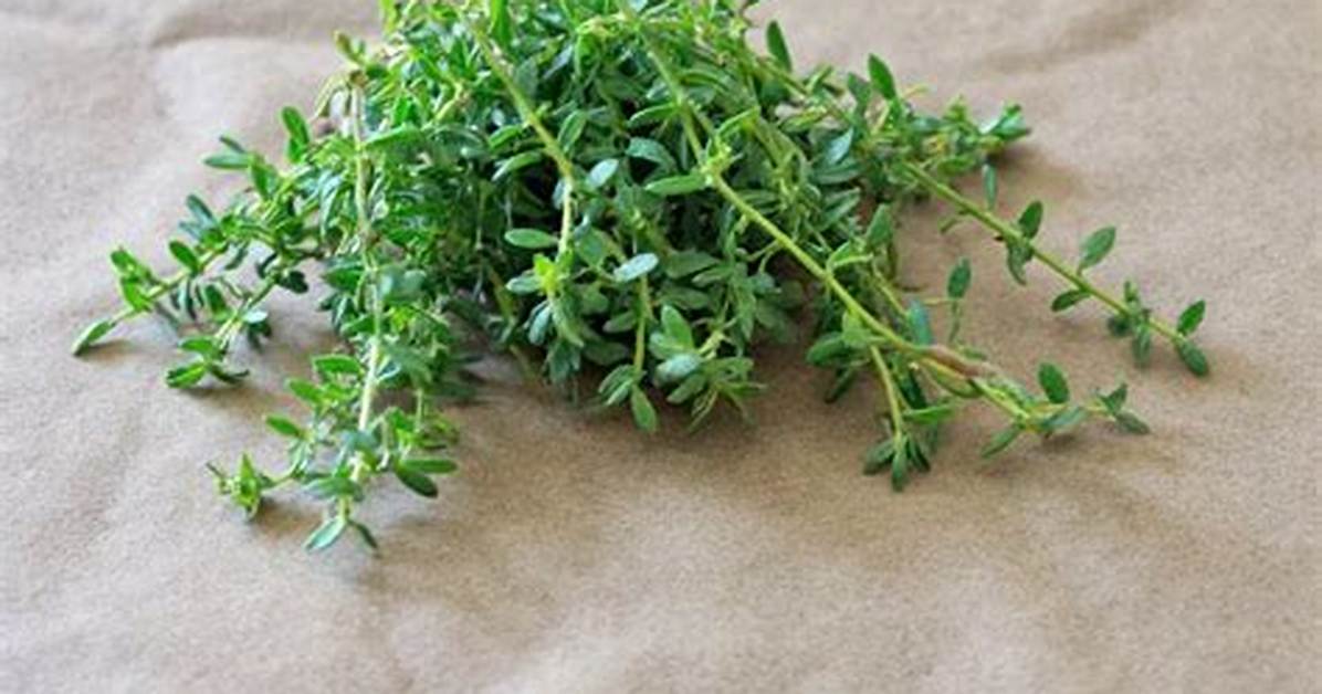 How Do You Pronounce Thyme