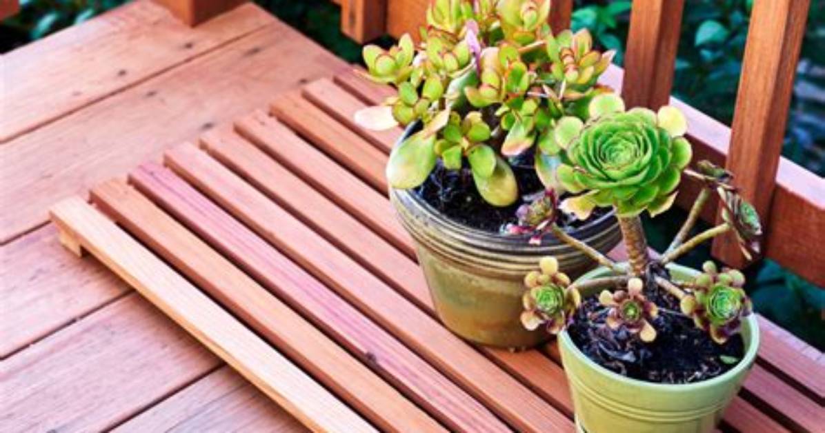 How Do You Protect Decking from Plant Pots
