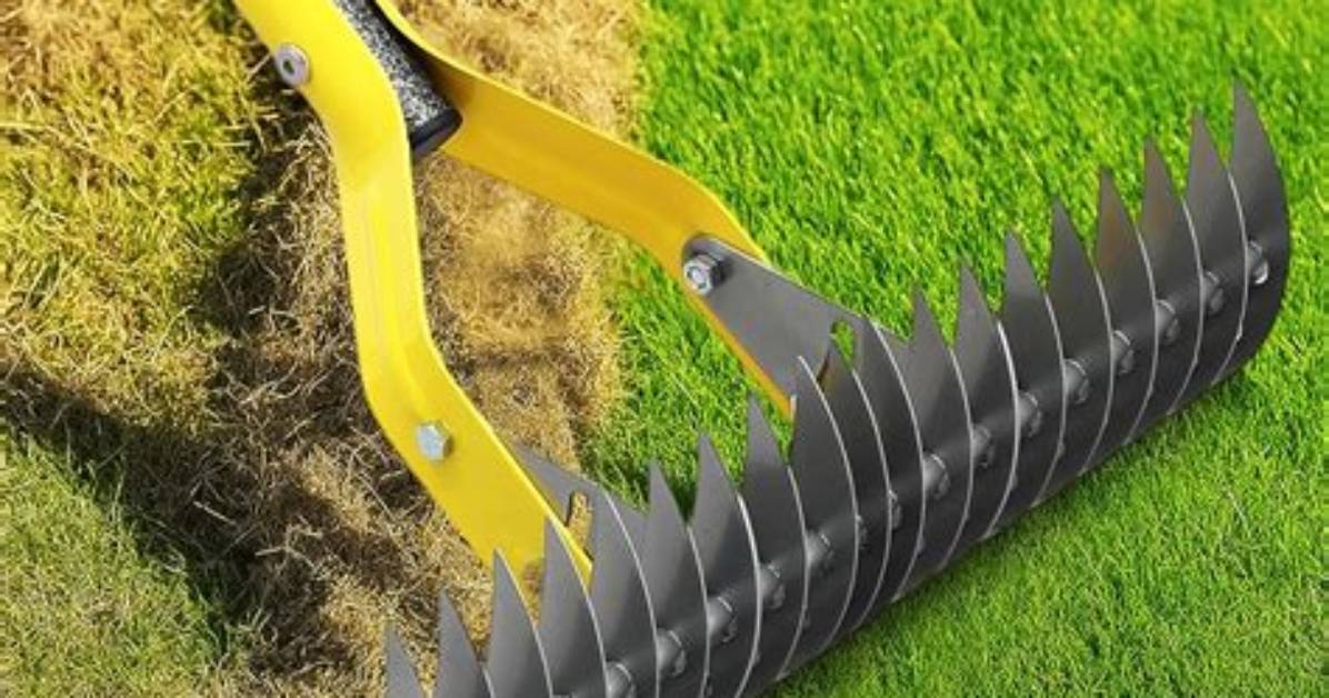 How Do You Rake a Large Lawn