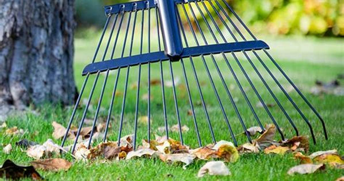 How Do You Rake Dg