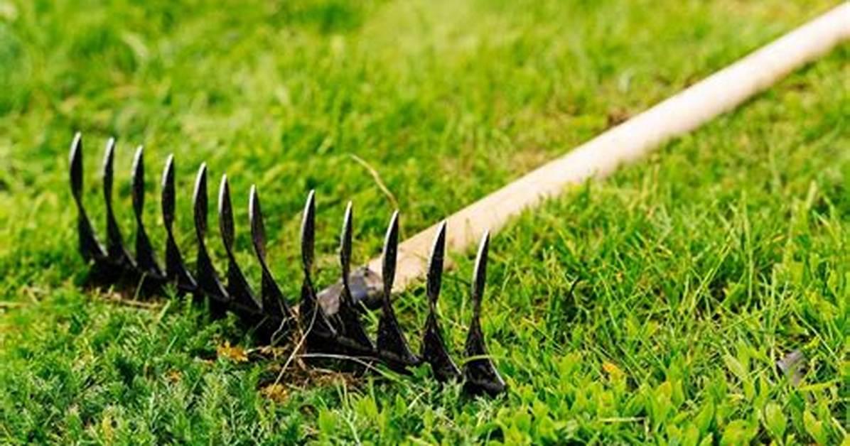 How Do You Rake Long Grass