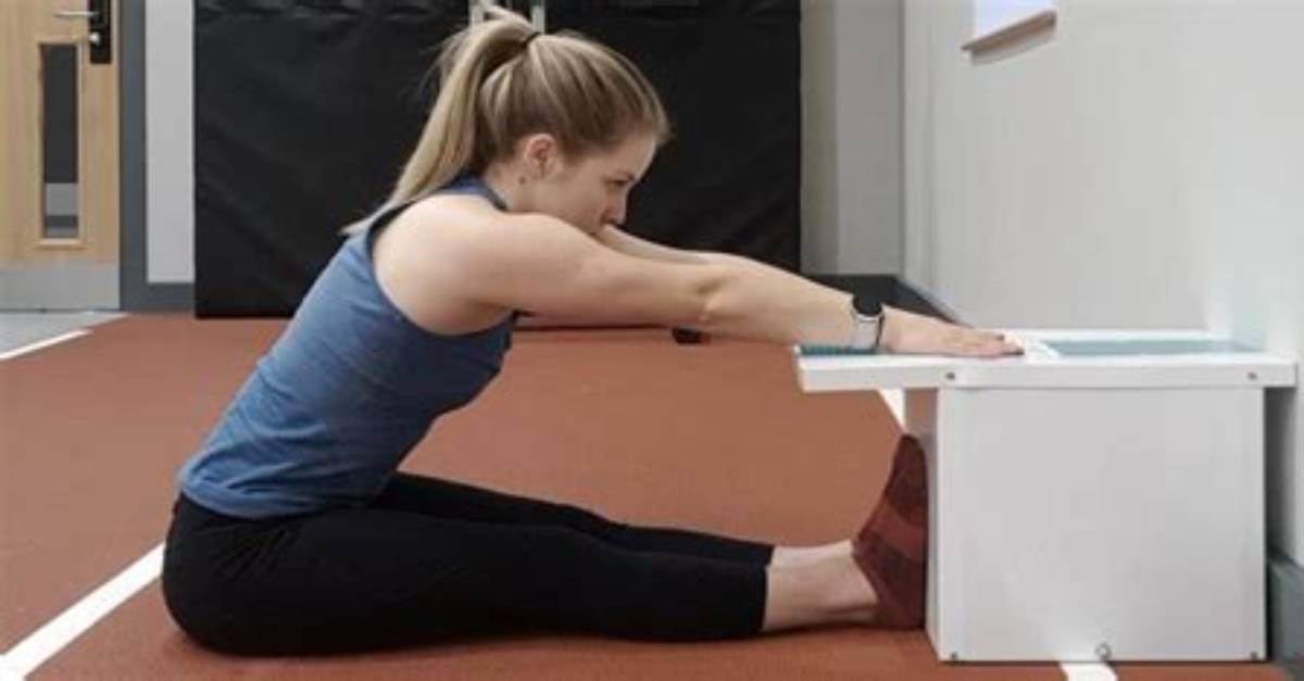 How Do You Record Sit and Reach?