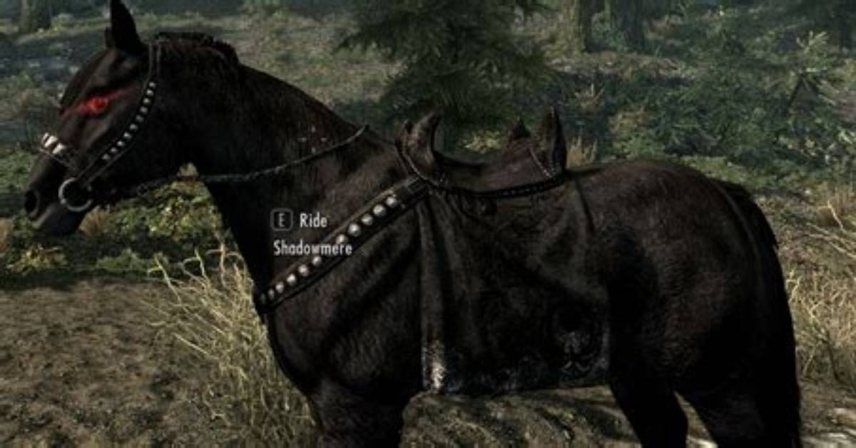 How Do You Recover Shadowmere?
