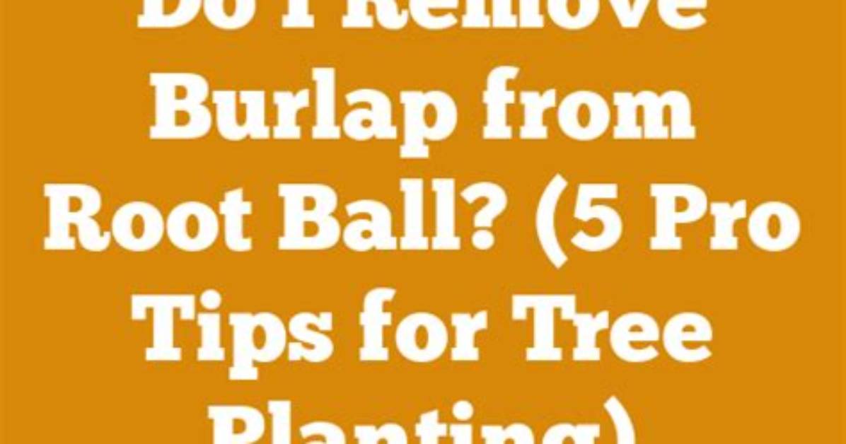 How Do You Remove a Root Ball?
