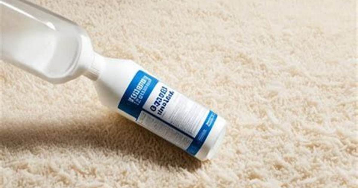 How Do You Remove Ammonia from Carpet