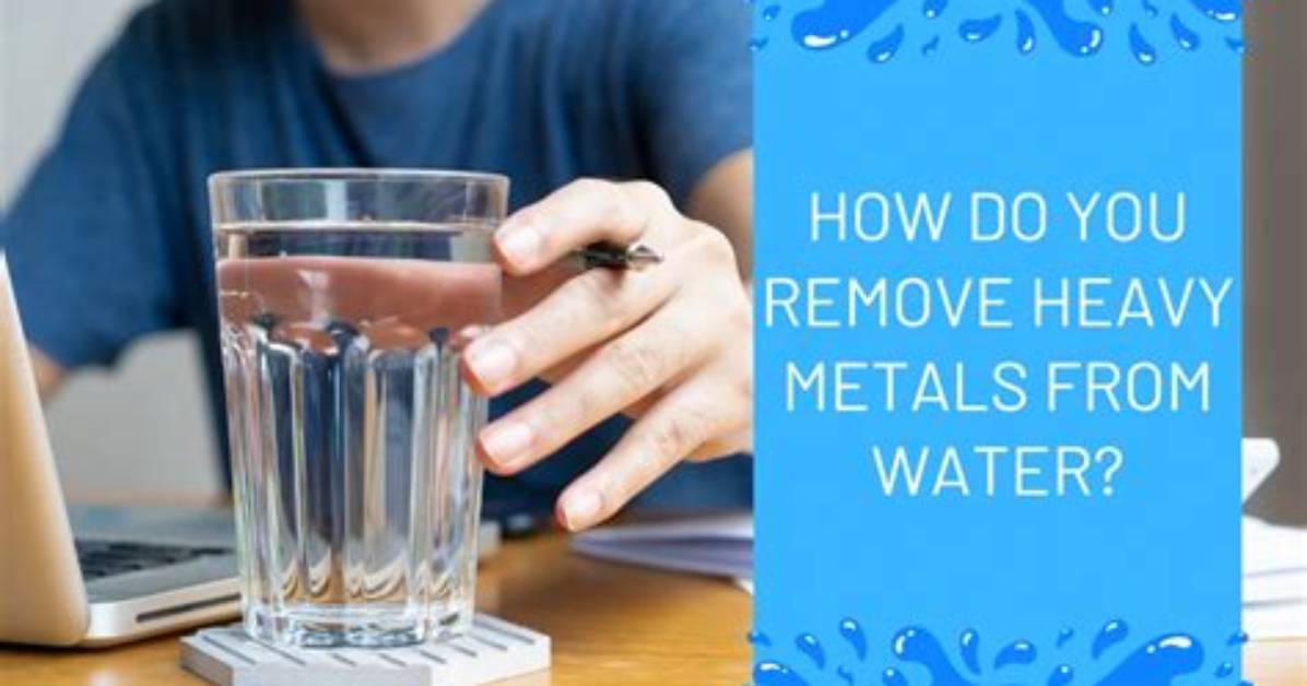 How Do You Remove Heavy Metals from the Brain?