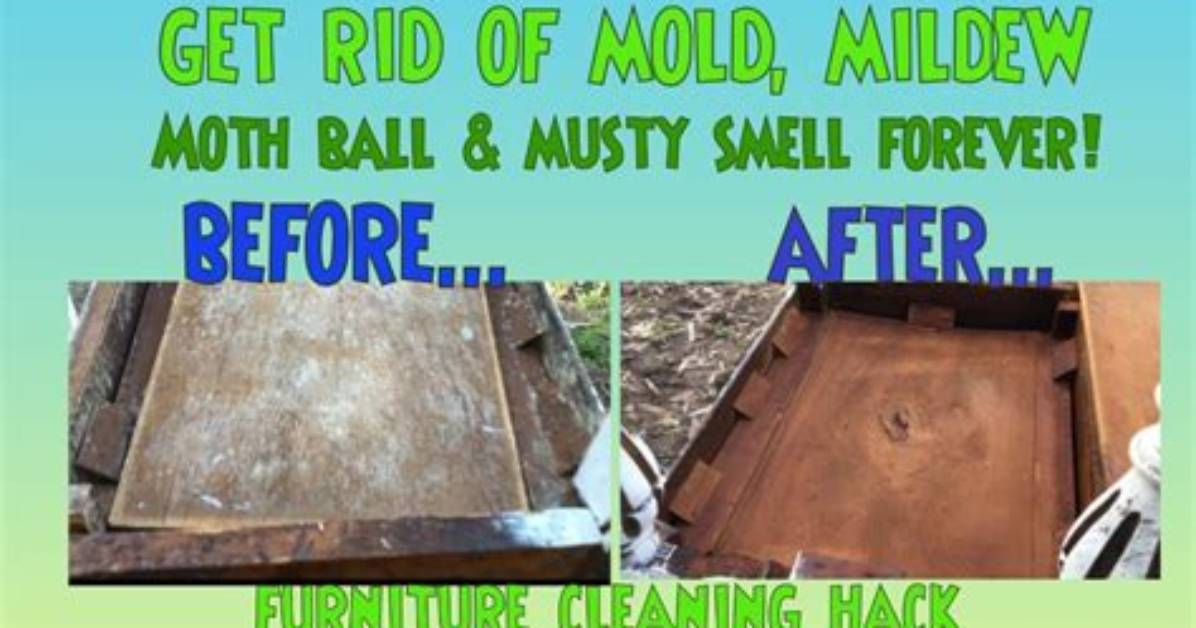 How Do You Remove Mildew from Oak