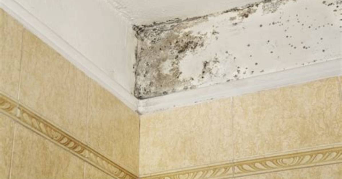 How Do You Remove Mold from Bathroom Caulking?