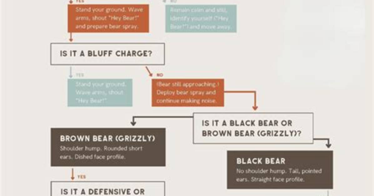 How Do You Scare a Bear Away?