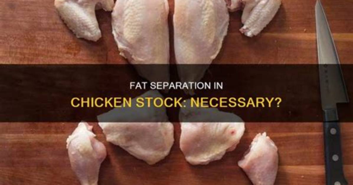 How Do You Separate Fat from Stock