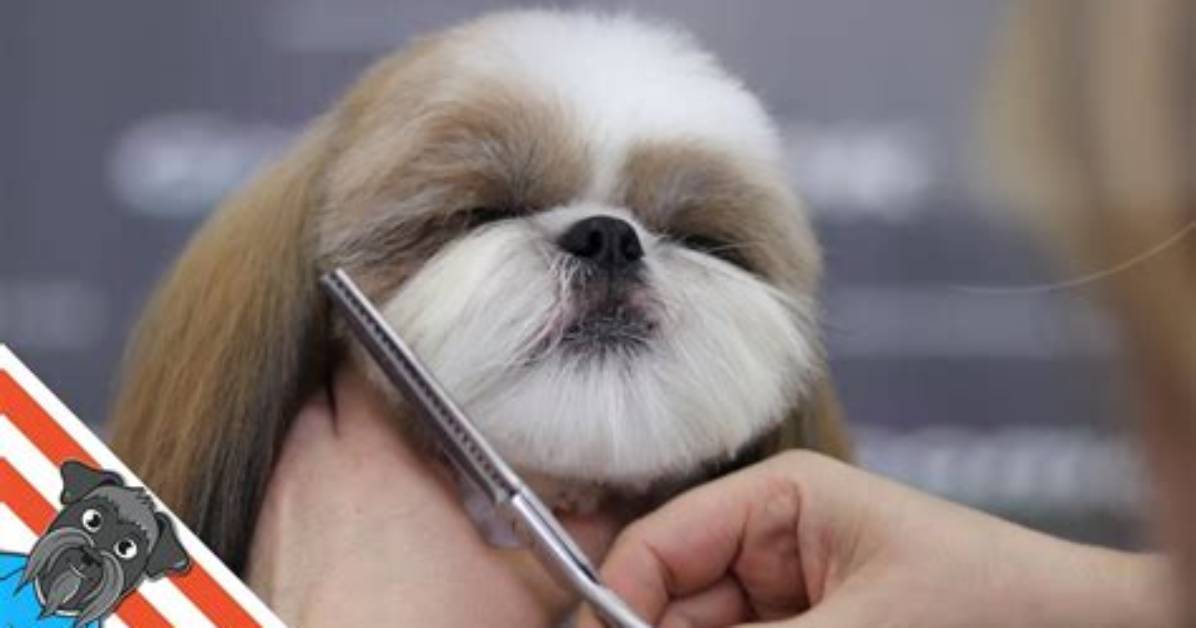 How Do You Spell Moping Around?