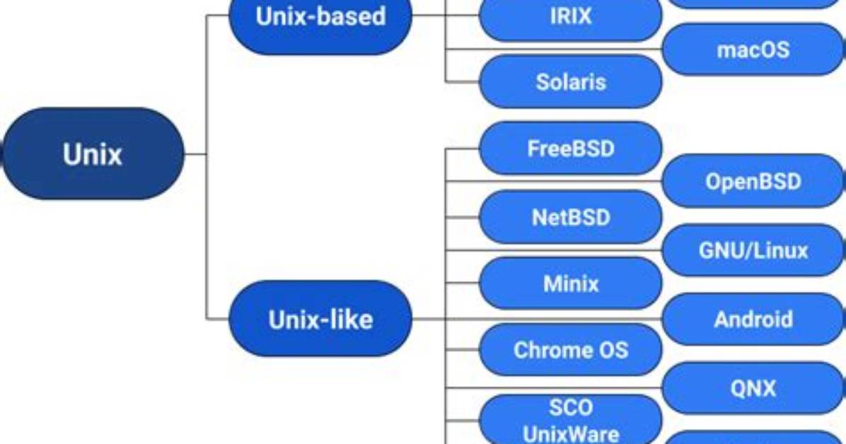 How Do You Split in Unix?