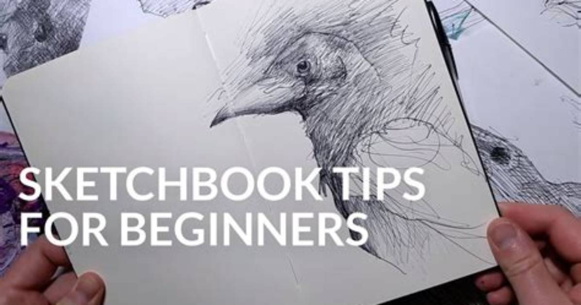 How Do You Start a Beginner Sketchbook?