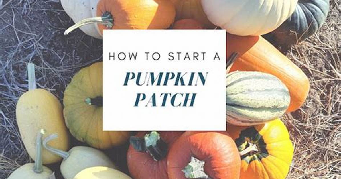 How Do You Start a Pumpkin Patch?