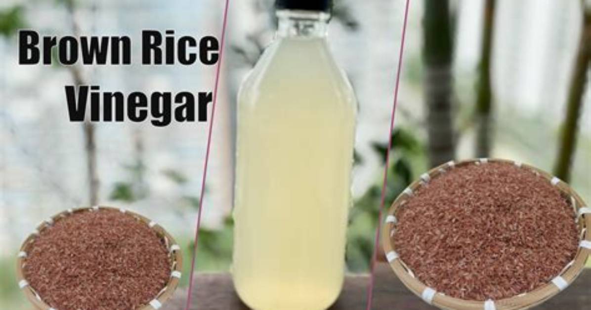 How Do You Start Vinegar