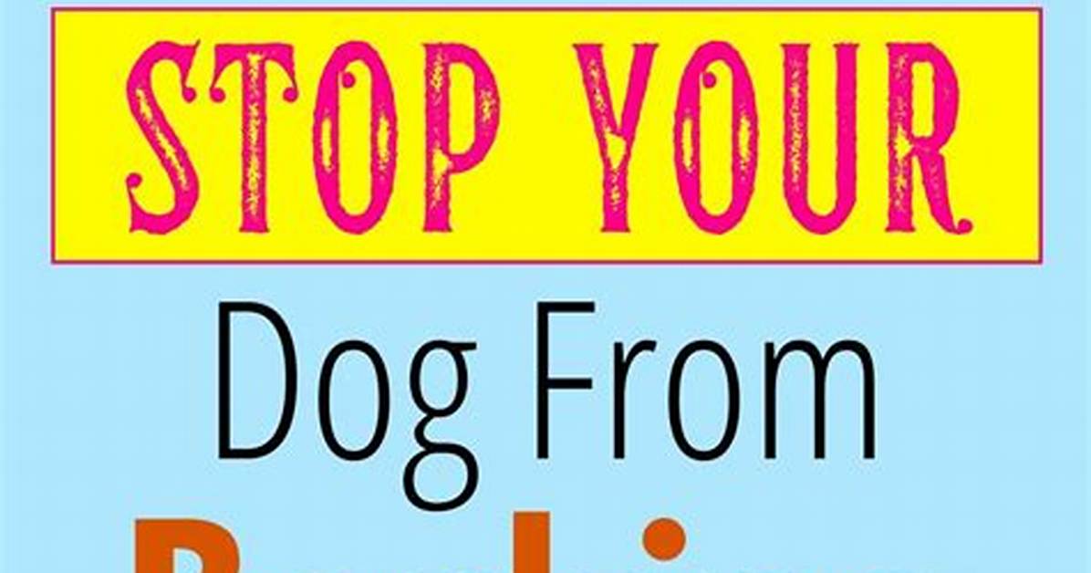 How Do You Stop a Dog from Scenting?