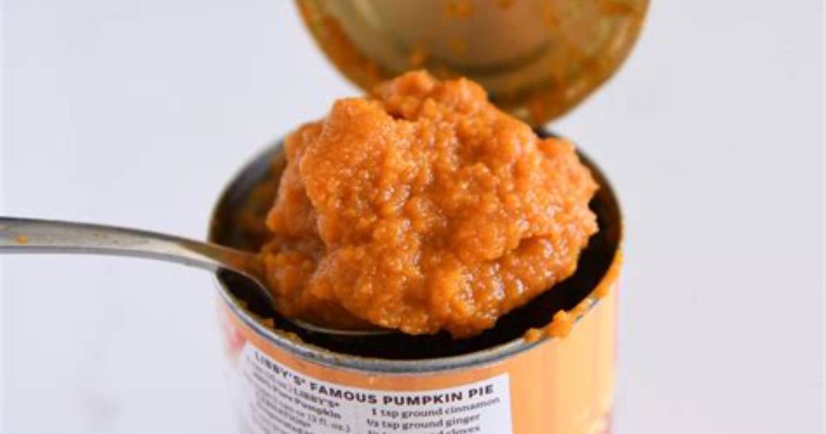 How Do You Store Leftover Canned Pumpkin