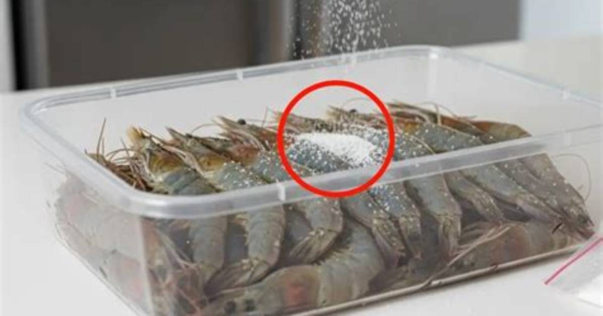 How Do You Store Shrimp?