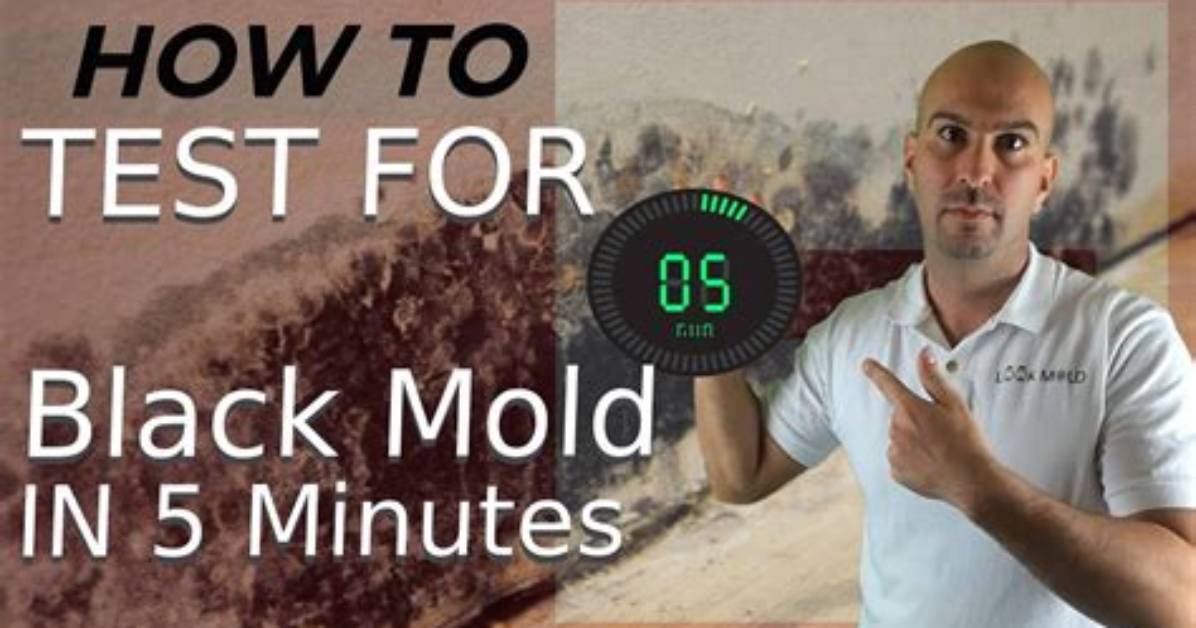 How Do You Test for Black Mold in Your Body?