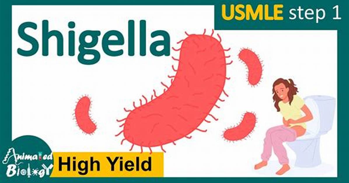 How Do You Test for Shigella