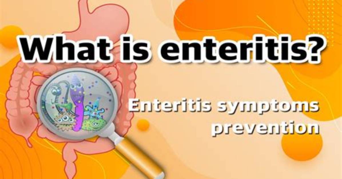 How Do You Treat Enteritis?
