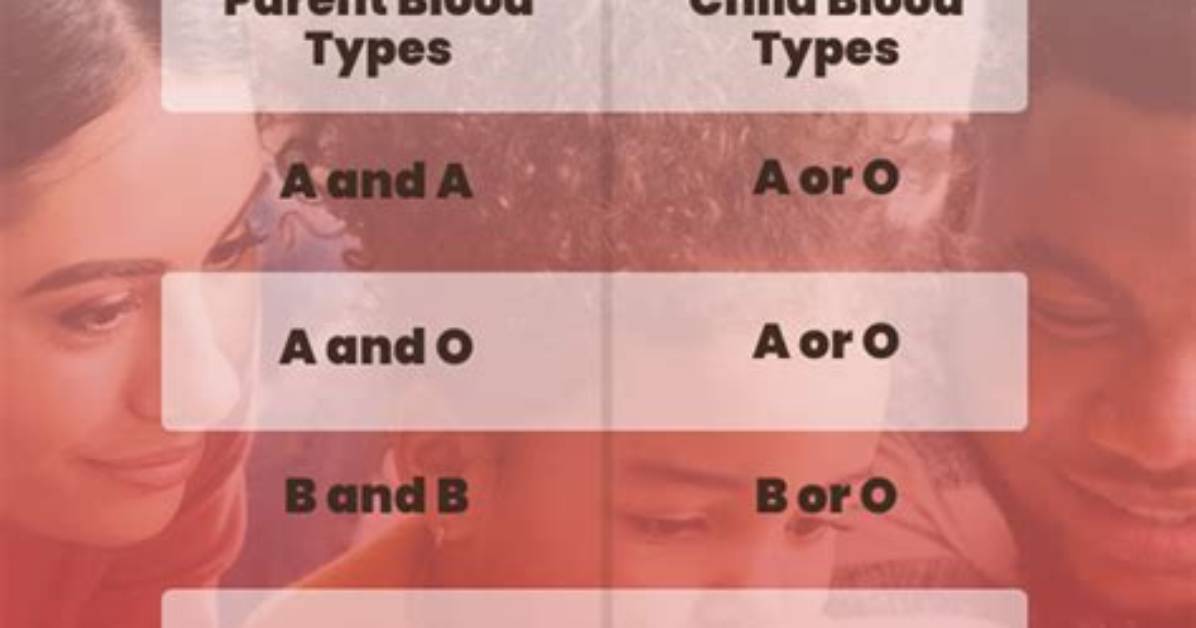 How Do You Type a O?