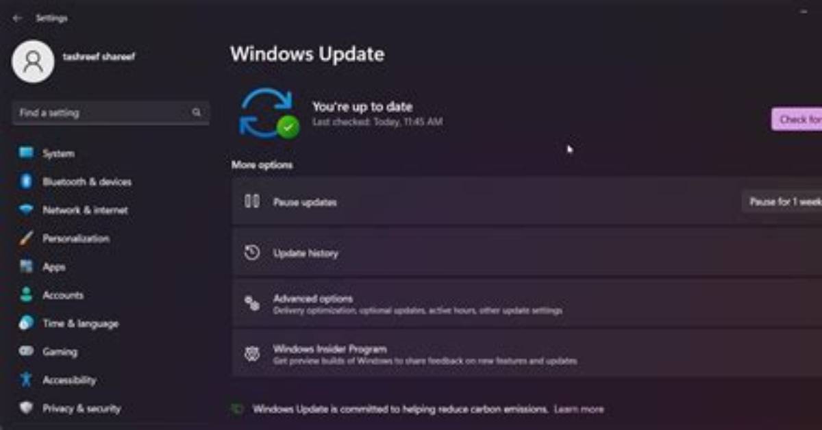 How Do You Update Apps on Windows 10?