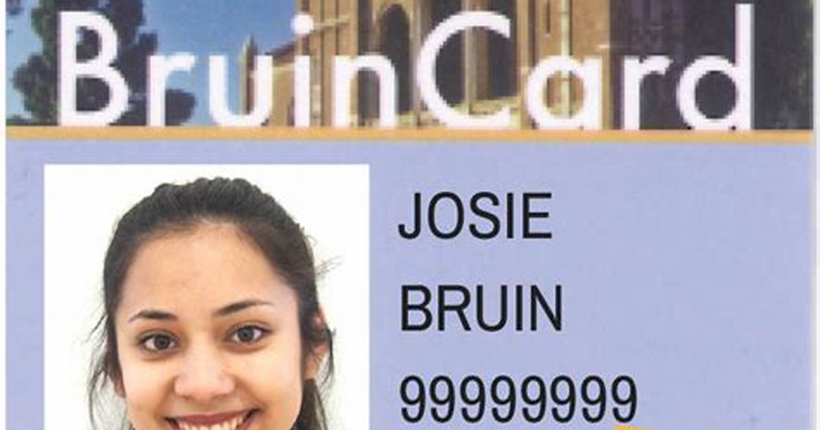 How Do You Use a Bruincard