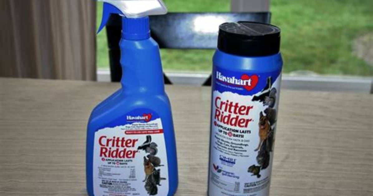How Do You Use Critter Ridder
