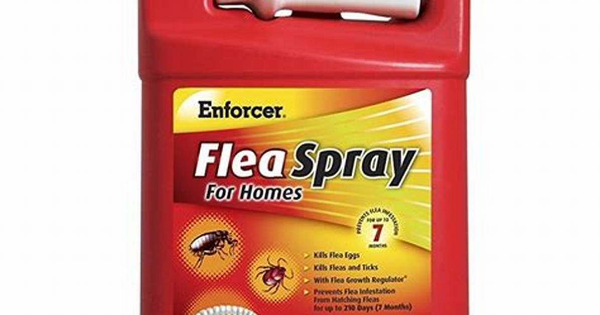 How Do You Use Enforcer Flea Spray at Home