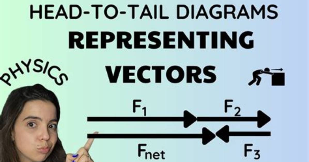 How Do You Use Head and Tail Command in Linux?