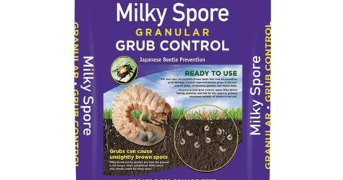 How Do You Use Milky Spore