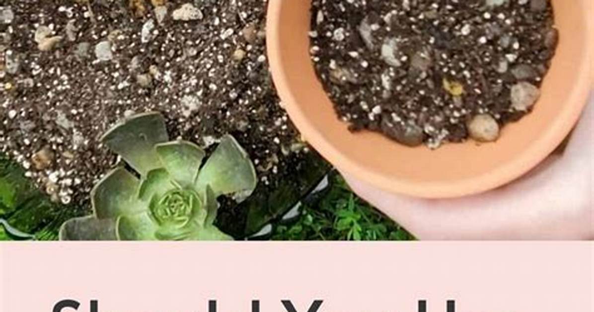 How Do You Use Perlite for Indoor Plants?