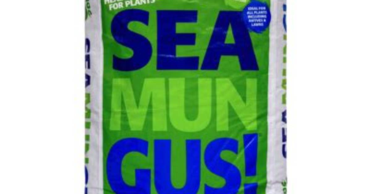 How Do You Use Seamungus