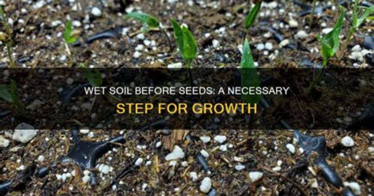 How Do You Use Wet Soil