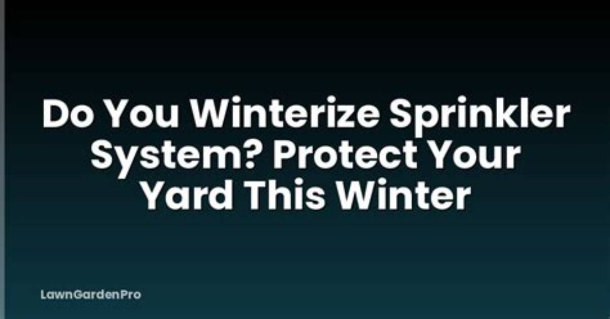 How Do You Winterize Pansies