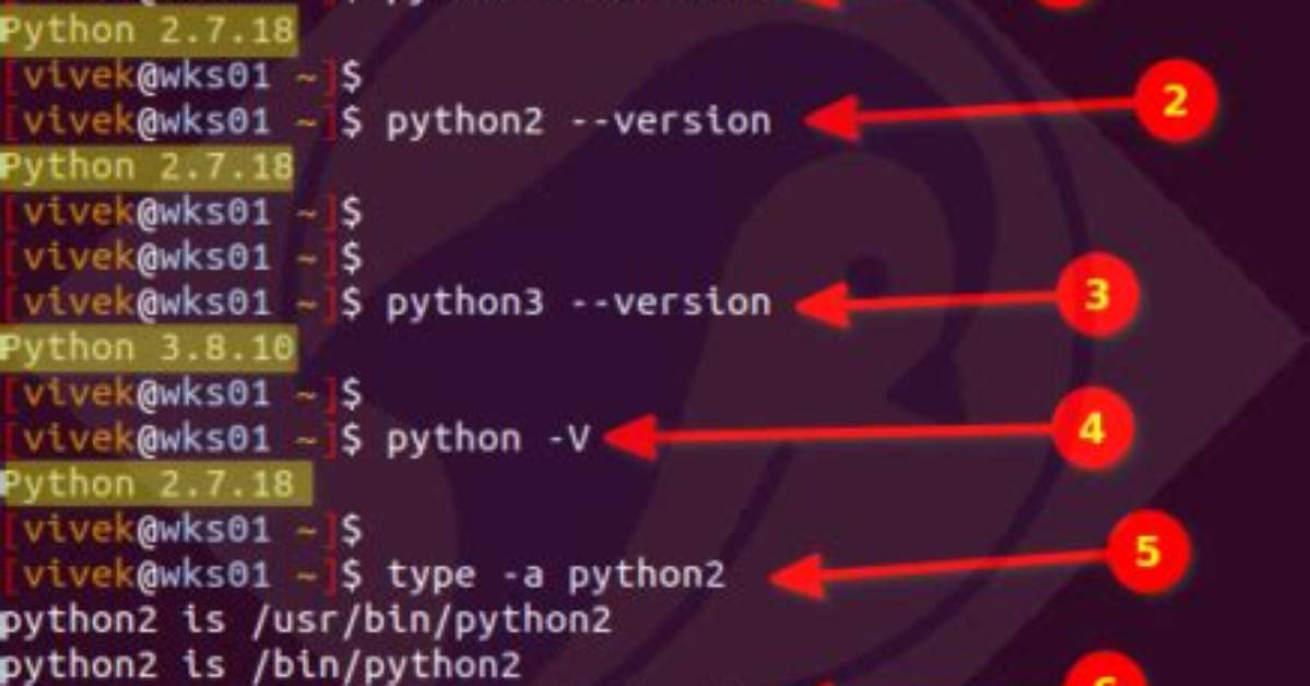 How Do You Write Unix in Python?