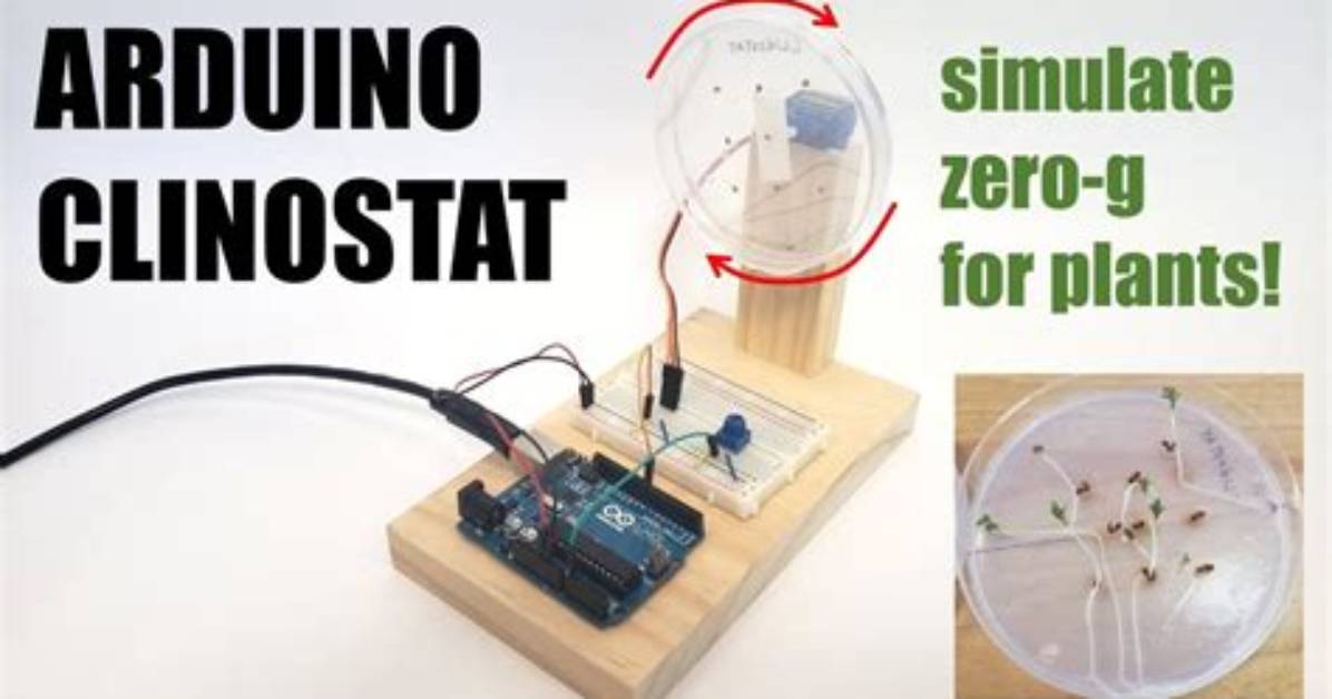 How Does a Clinostat Work?