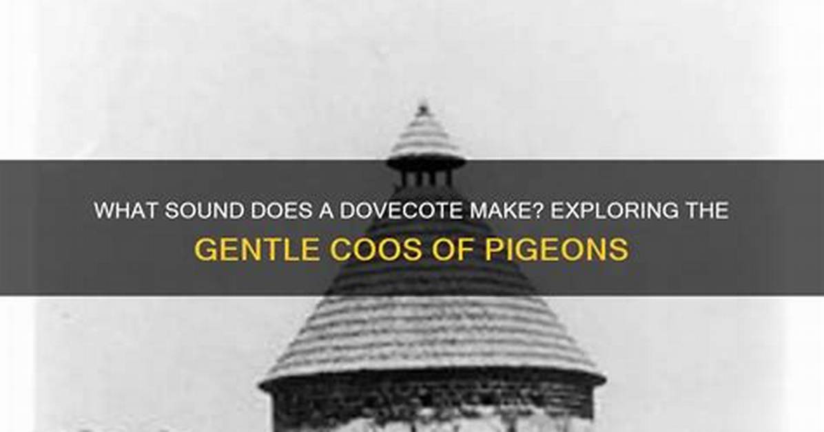 How Does a Dovecote Work