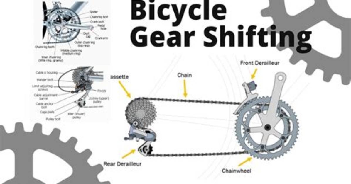 How Does a Fixed Gear Bike Work